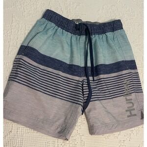 Hurley Shorts Mens Small Blue Striped Swim Swimming Trunks Lined Surf Board